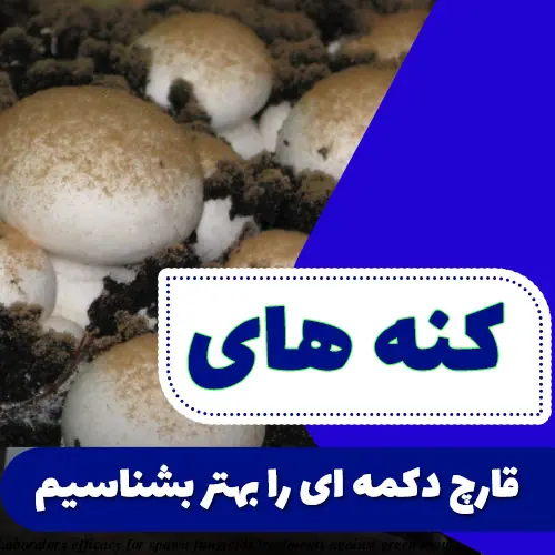 کنه های قارچ دکمه ای را بهتر بشناسیم