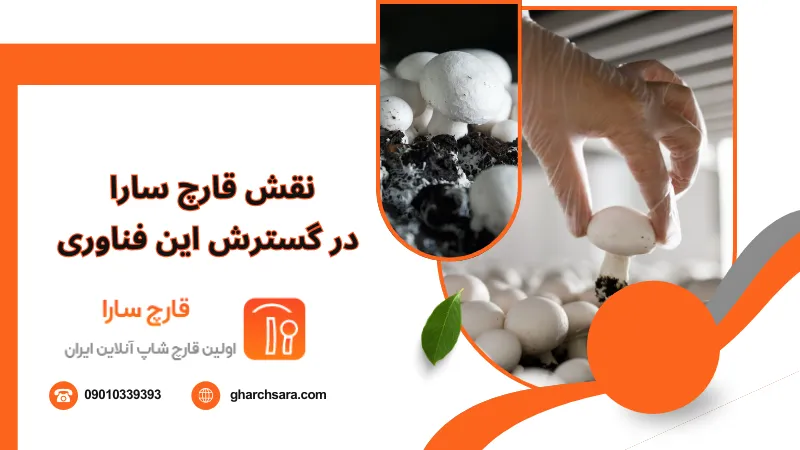 نقش قارچ سارا در گسترش این فناوری