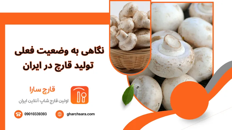 نگاهی به وضعیت فعلی تولید قارچ در ایران