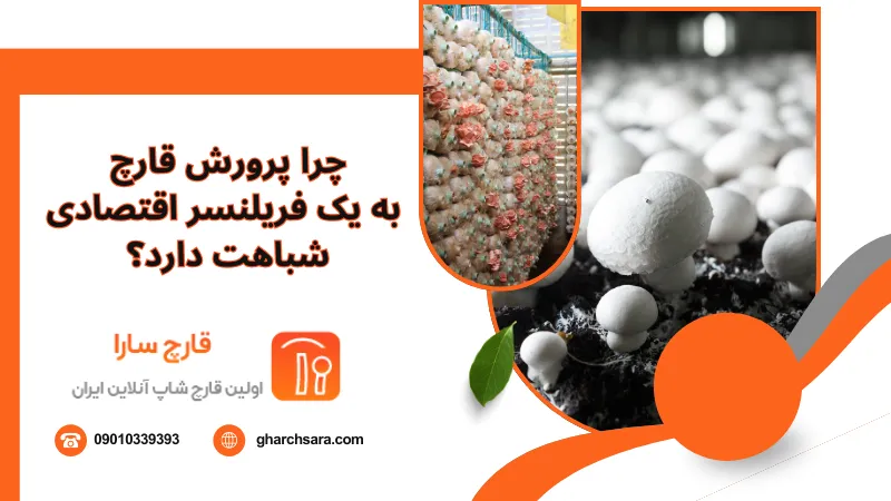 چرا پرورش قارچ به یک فریلنسر اقتصادی شباهت دارد؟